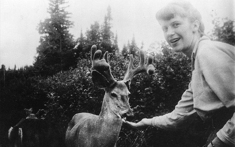 Сильвия Плат кормит оленя в Онтарио, 1959